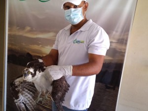 54255288_666477107102176_7952496861850370048_n - Fundación Hidrobiológica George Dahl