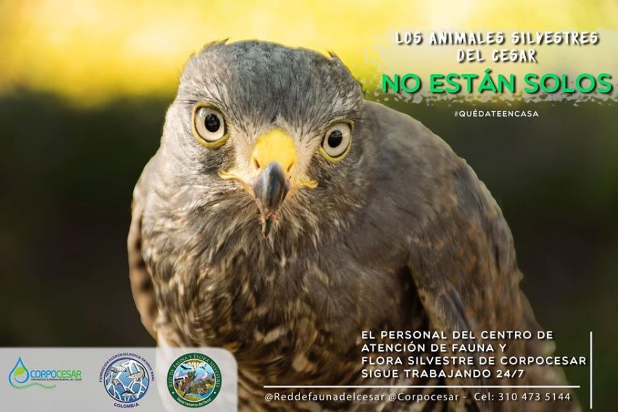 91628809_936022553480962_7726471725407272960_o - Fundación Hidrobiológica George Dahl