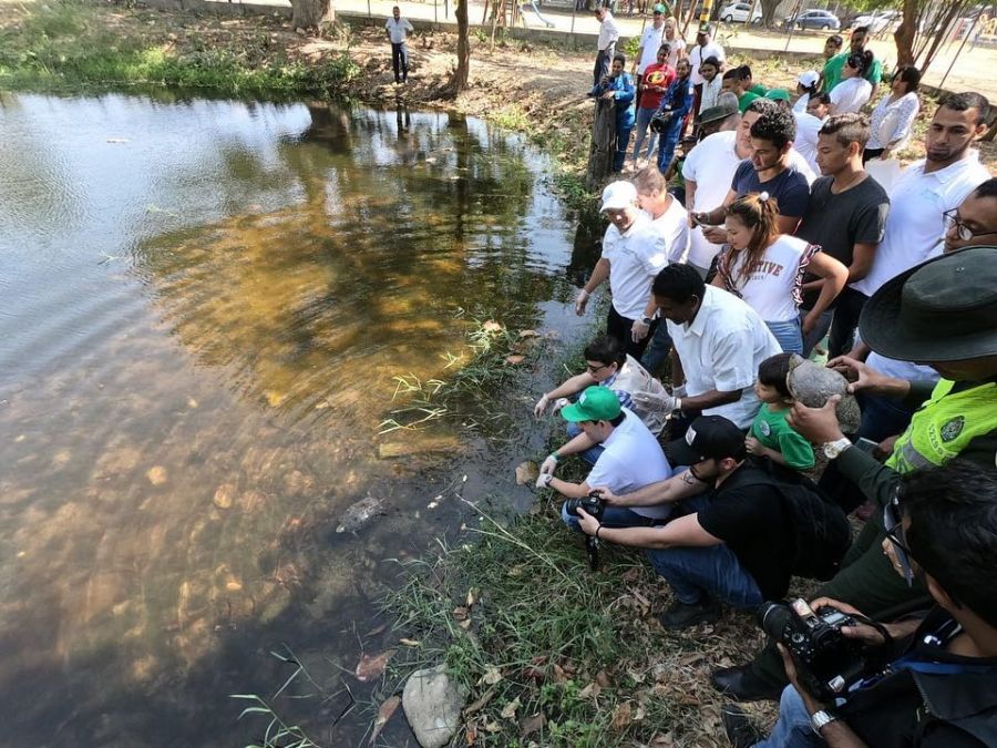 51170904_644105446006009_5370755130750664704_n - Fundación Hidrobiológica George Dahl