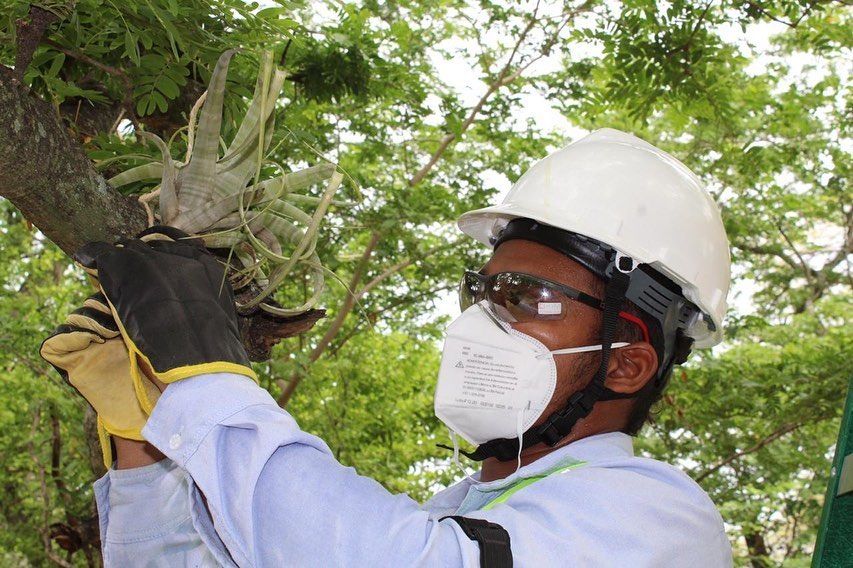 102555232_3054719771273150_4604849661949422204_n - Fundación Hidrobiológica George Dahl