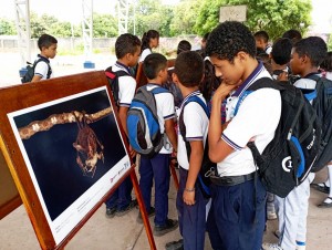 EXPO MURCI 2 - Fundación Hidrobiológica George Dahl