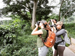EQUIPO RED DE FAUNA - Fundación Hidrobiológica George Dahl