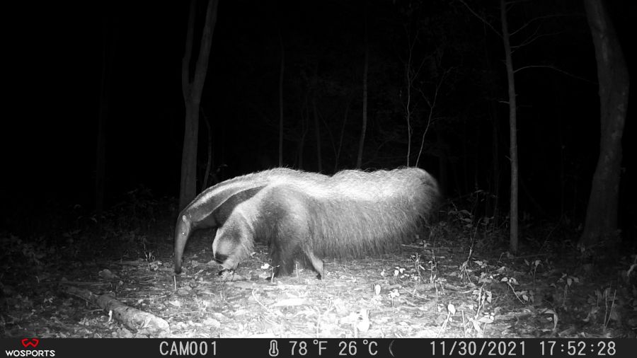  - Fundación Hidrobiológica George Dahl