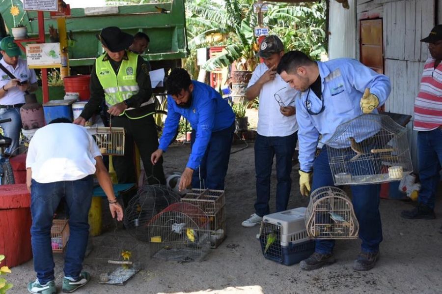 57098991_685180605231826_20756885451833344_o - Fundación Hidrobiológica George Dahl