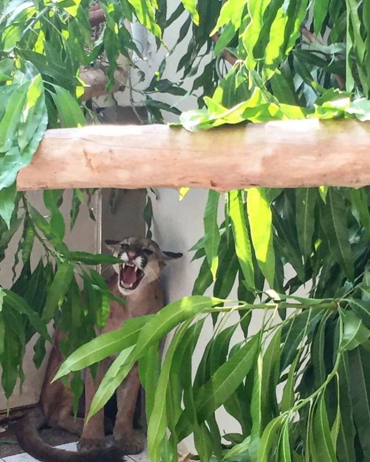 52813705_658373404579213_1097035789583253504_n - Fundación Hidrobiológica George Dahl