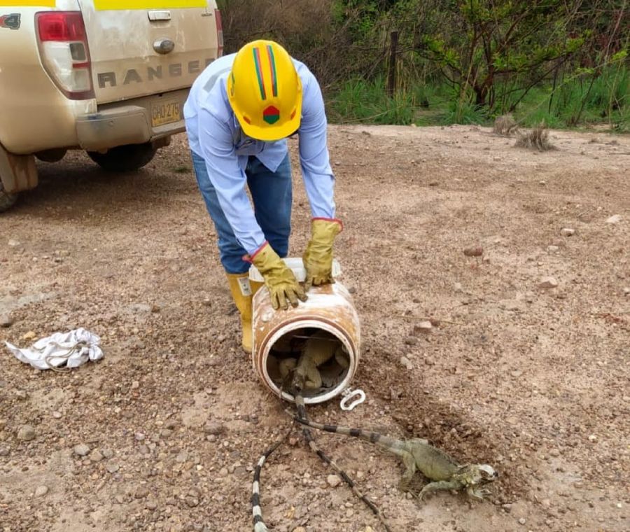 184888985_1224972814585933_1097689509075482028_n - Fundación Hidrobiológica George Dahl