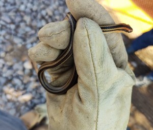 184801487_1224972817919266_1483031043585559603_n - Fundación Hidrobiológica George Dahl